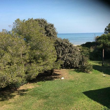 Entre Mer Et Piscine Hyères Dış mekan fotoğraf
