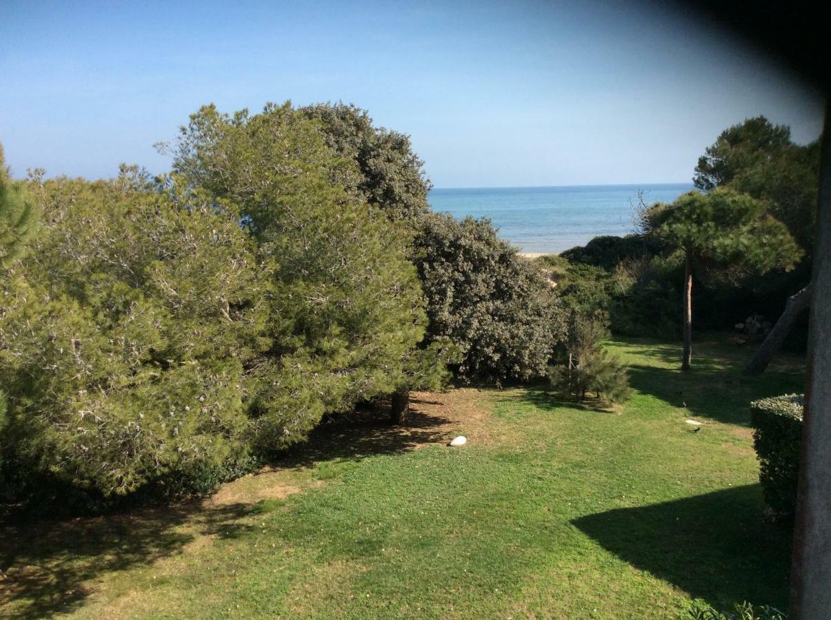 Entre Mer Et Piscine Hyères Dış mekan fotoğraf